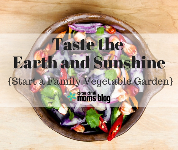 Taste the Earth and Sunshine- Start a Family Vegetable Garden, Corpus Christi Moms Blog