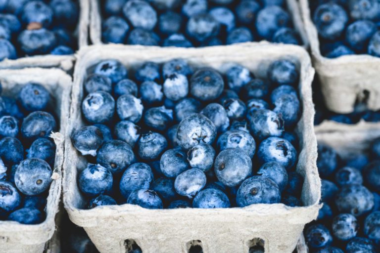 blueberries- Corpus Christi Moms Blog