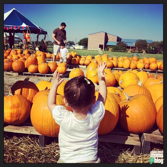 32 Ideas to Add to Your Family's Fall Bucket List- Pumpkin Patch- Corpus Christi Moms Blog
