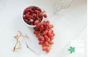 grapes- Breast Cancer Awareness and Prevention- Corpus Christi Moms Blog