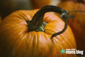 pumpkin decorating for kids of all ages- corpus christi moms blog