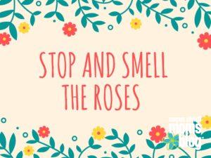 stop-and-smell-the-roses