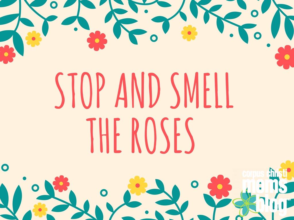 Stop and Smell the Roses- Relax Enjoy Busyness- Corpus Christi Moms Blog