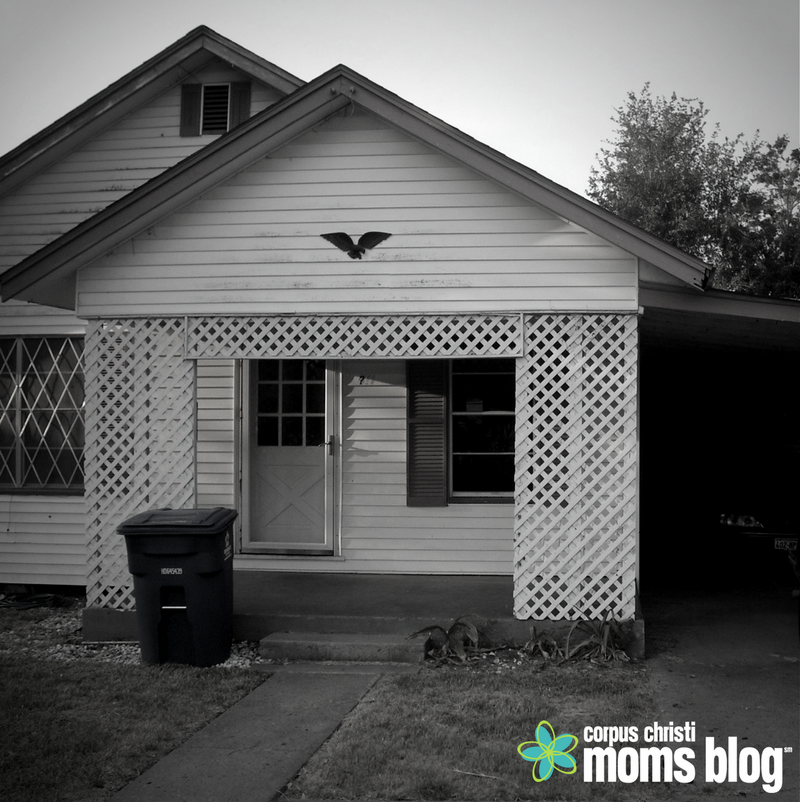 Love Where You Live: San Patricio County- Our Home- Corpus Christi Moms Blog