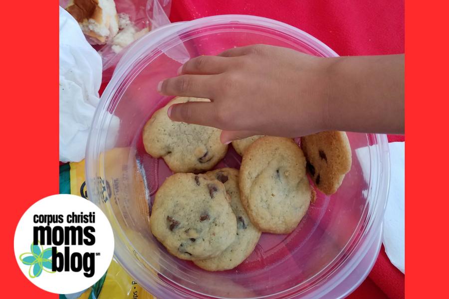 Planning the perfect family picnic-cookies