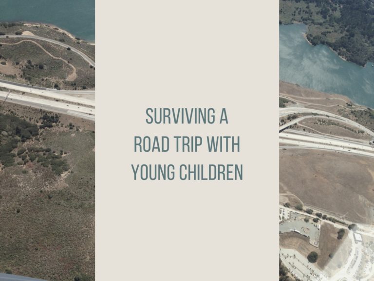 Surviving a Road Trip with Young Children