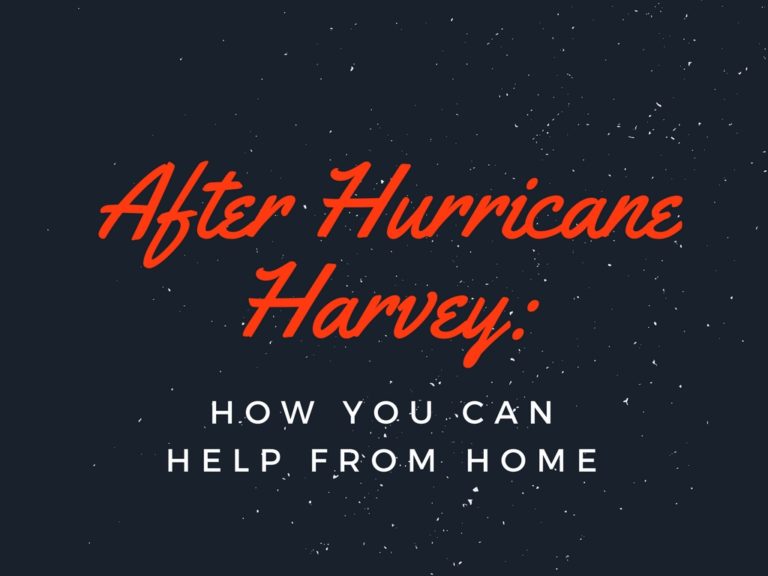 After Hurricane Harvey: How You Can Help From Home