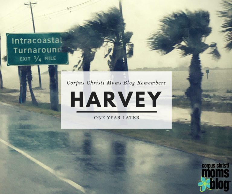 CCMB Remembers Hurricane Harvey: One Year Later