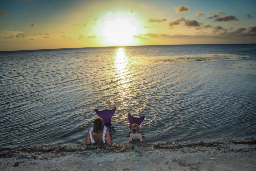 mermaids looking at the sunset