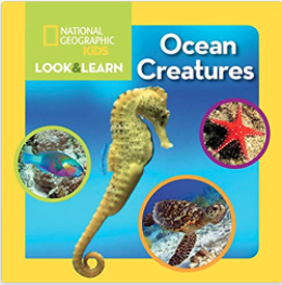 Ocean Creatures National Geographic Look and Learn