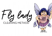 Fly Lady Cleaning Method with Logo