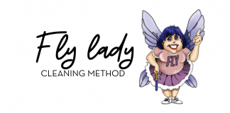 Fly Lady Cleaning Method with Logo