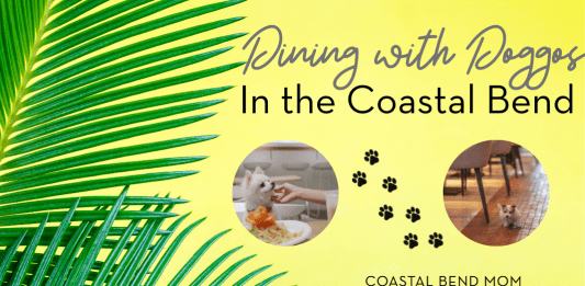 Image: Yellow background with Palm Tree Fronts on the left side of the image. Two smaller images are inset of dogs at a restaurant with their owners. Text reads : Dining with Doggos in the Coastal Bend