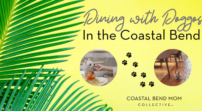 Image: Yellow background with Palm Tree Fronts on the left side of the image. Two smaller images are inset of dogs at a restaurant with their owners. Text reads : Dining with Doggos in the Coastal Bend