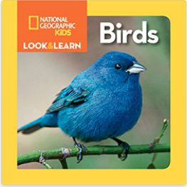 birds national geographic kids look and learn