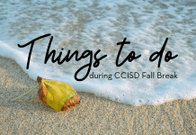 things to do during CCISD fall break