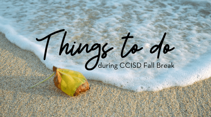 things to do during CCISD fall break