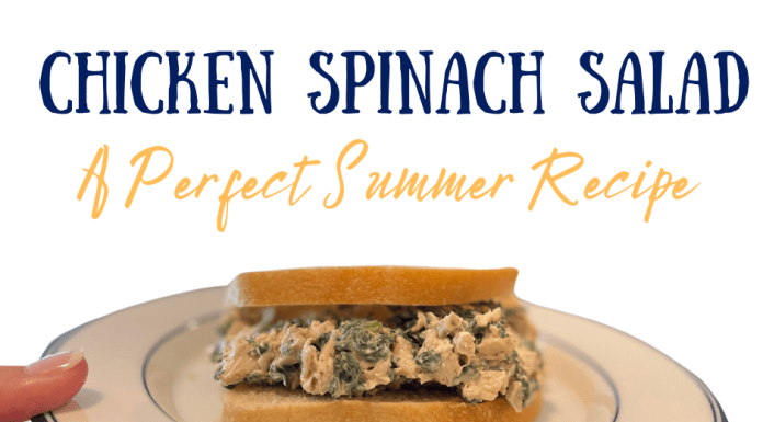 graphic showing a plated sandwich with the title chicken spinach salad - a perfect summer recipe